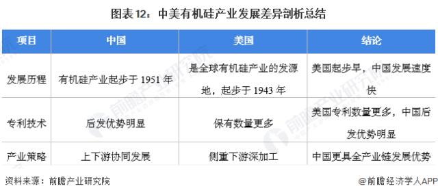 图表12：中美有机硅产业发展差异剖析总结