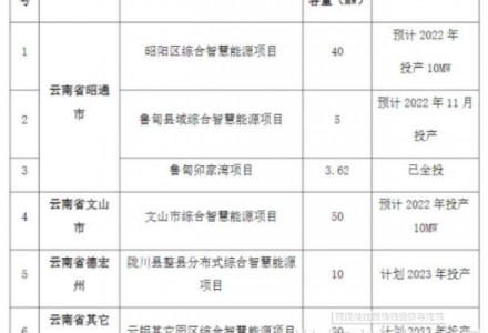 540.62MW！国家电投云南国际发布分布式光伏电站运行维护检修服务招标