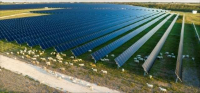 Lightsource bp和First Solar 签署2026-2028年4GW组件供货合同