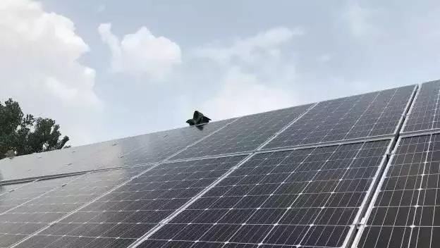 自家闲置屋顶变资源，太阳能光伏发电是如何让老百姓获益的？