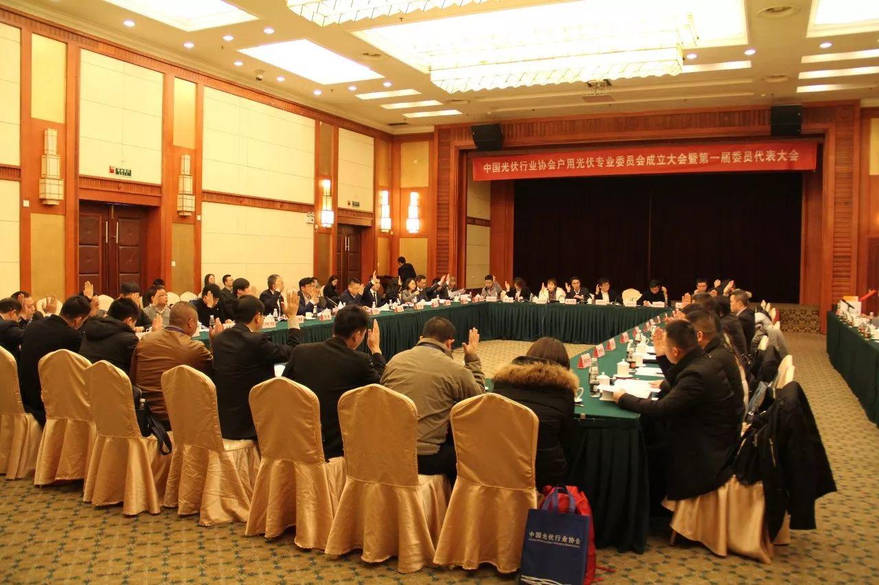 中国光伏行业协会户用光伏专业委员会正式成立