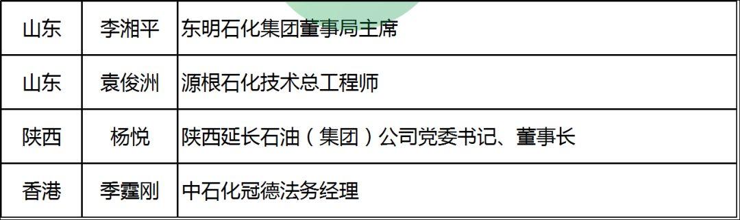 陈康平、刘汉元、曹仁贤等96位！最全两会能源代表名录:光伏3、电力59、油气22、煤炭12……肯定有你认识的！