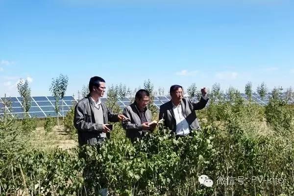 ​光伏原本可以赚钱的......慢慢的变成为人民服务了!