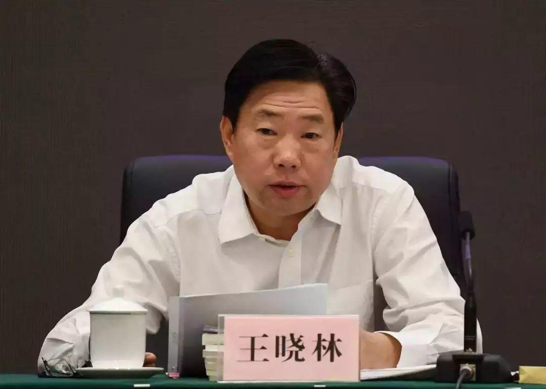 王晓林被双开：国家能源局副局长落马